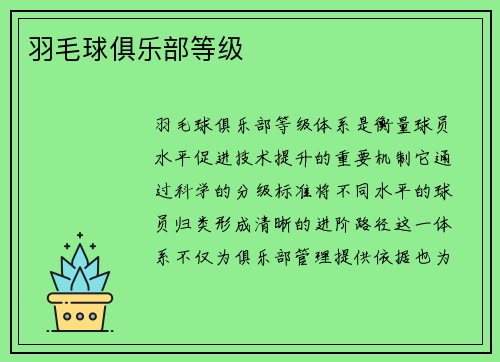 羽毛球俱乐部等级